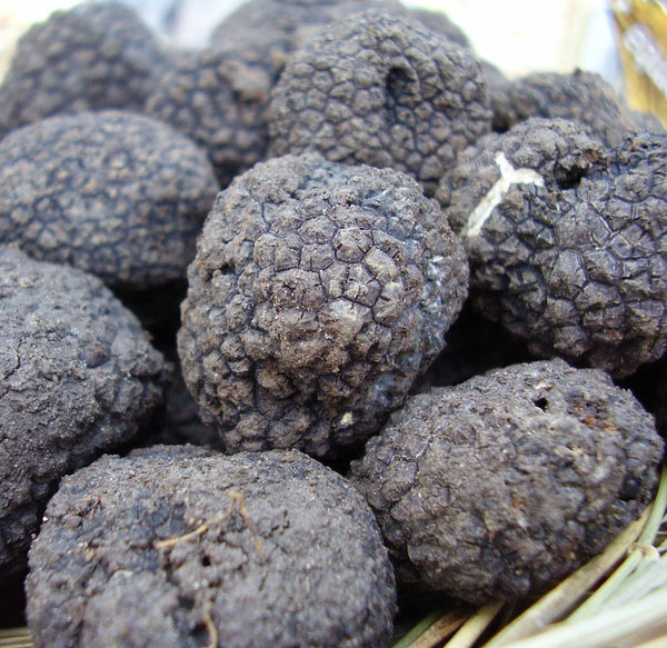 Truffle Natural Flavor Infused Olive Oil